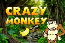 Crazy Monkey